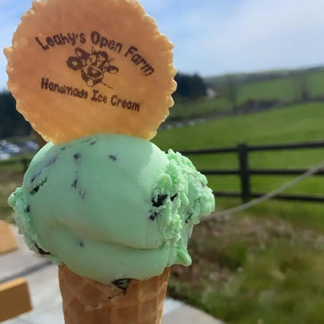 科克 Leahys Pod Park酒店 营地